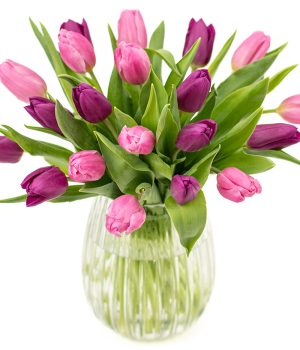 Simply Tulips
