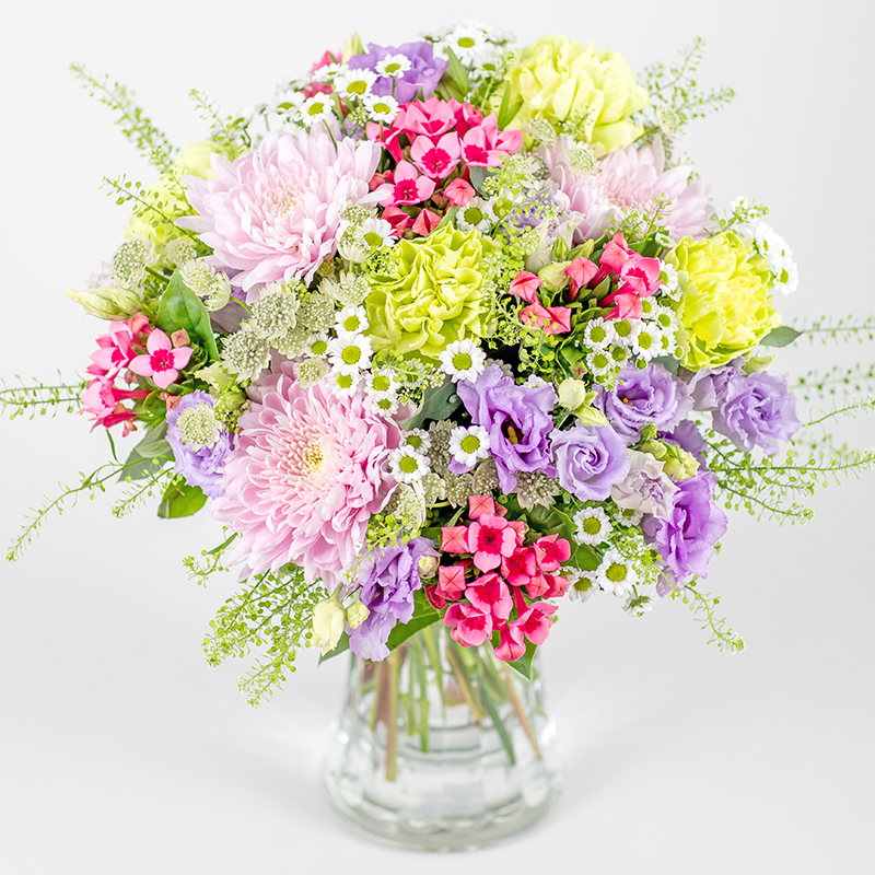 Wild Blooms